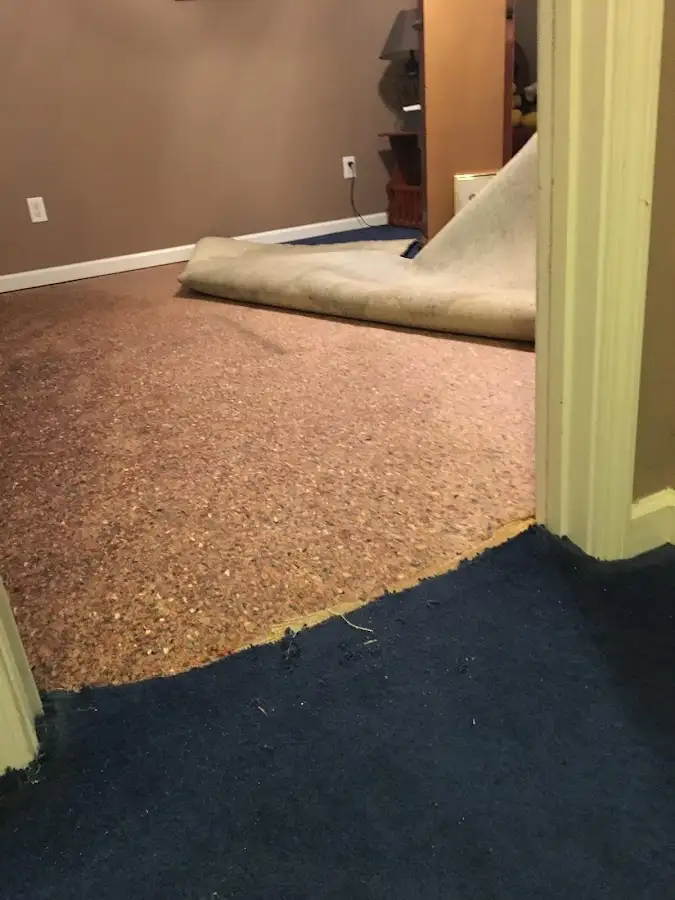 Carpet pad removal revealing water damage during Drying & Dehumidification in Boston