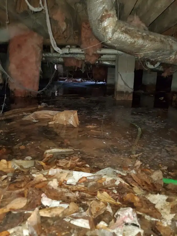 Crawl space flood assessment for Leak Detection & Repair in Boston